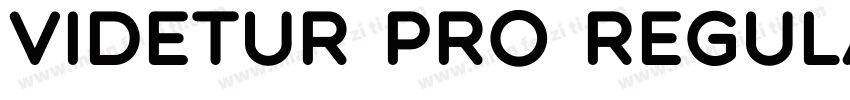 Videtur Pro Regular字体转换